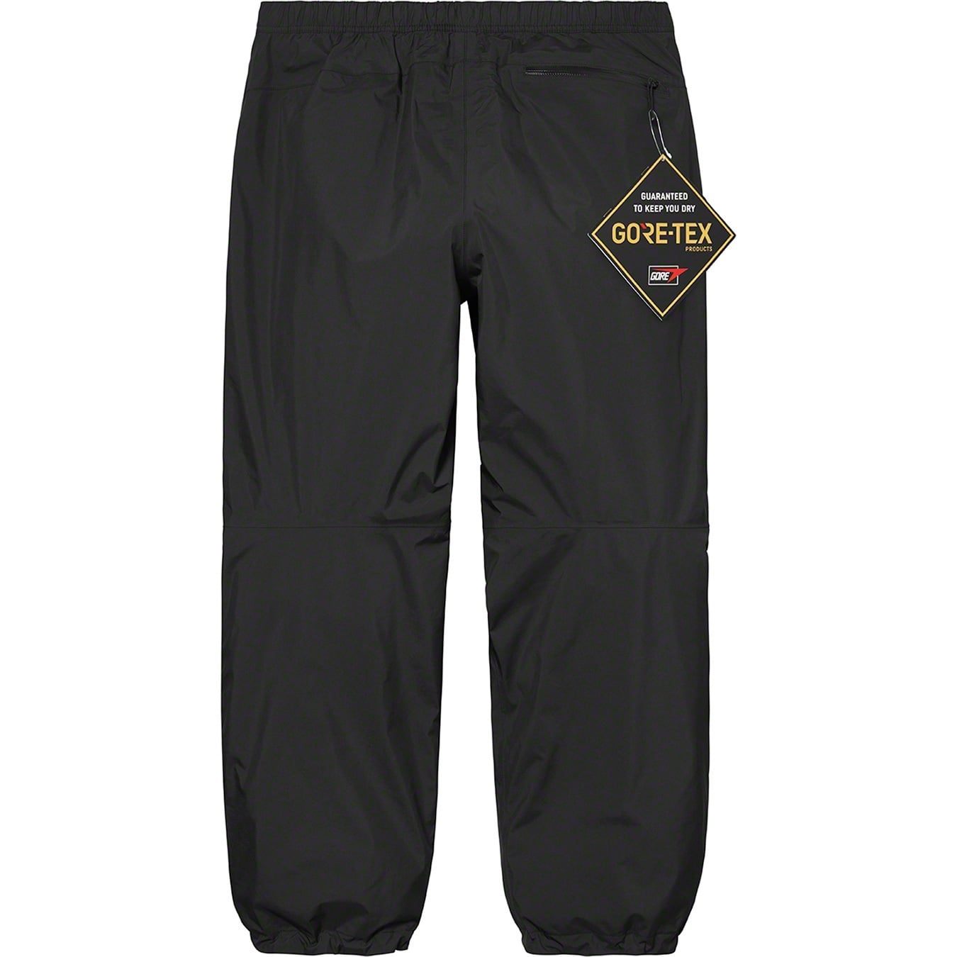 GORE-TEX Paclite Pant view 5